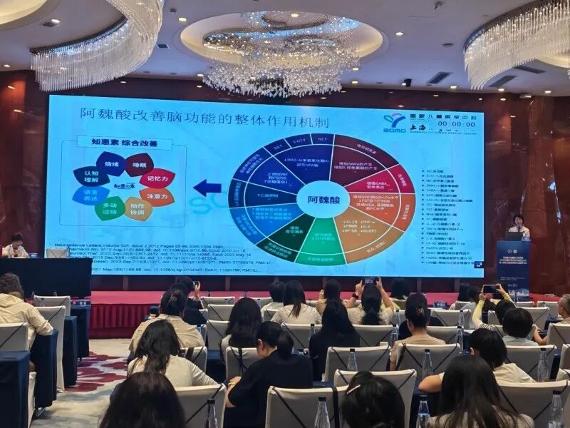 阿魏酸改善脑功能的整体作用机制